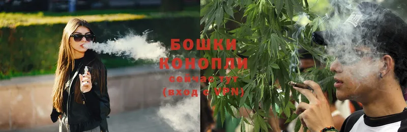 MEGA рабочий сайт  Купино  Конопля SATIVA & INDICA  наркотики 